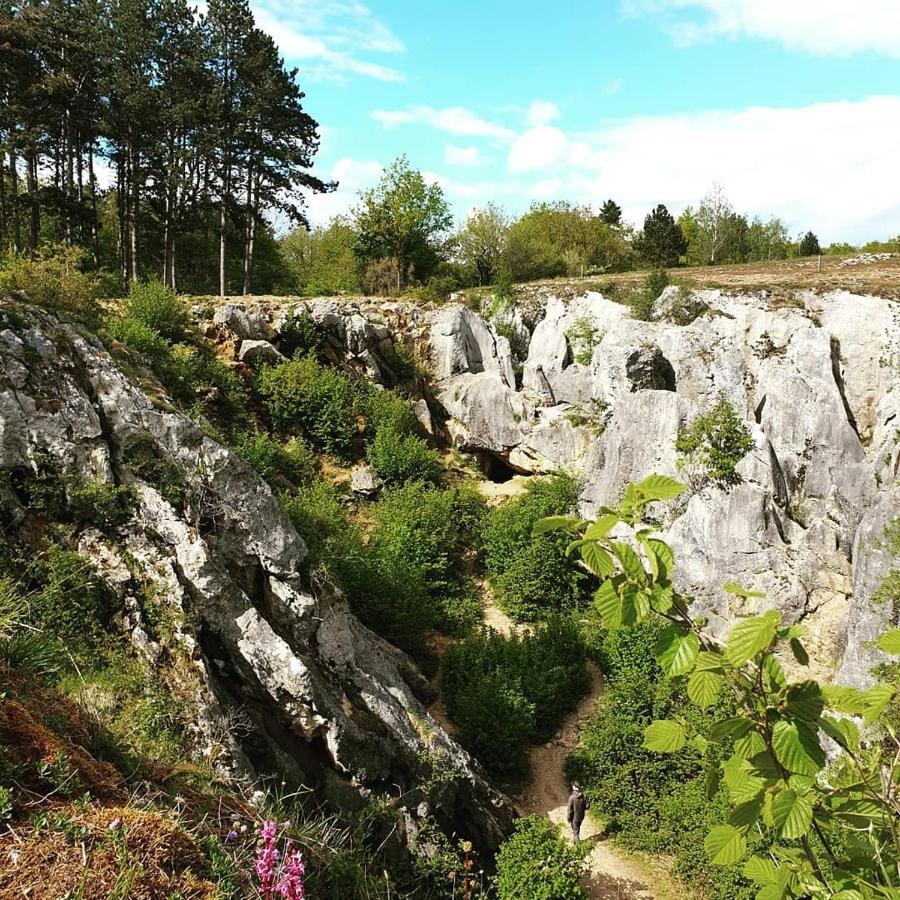 Verblijfpark Ardinam Olloy-sur-Viroin Exterior photo